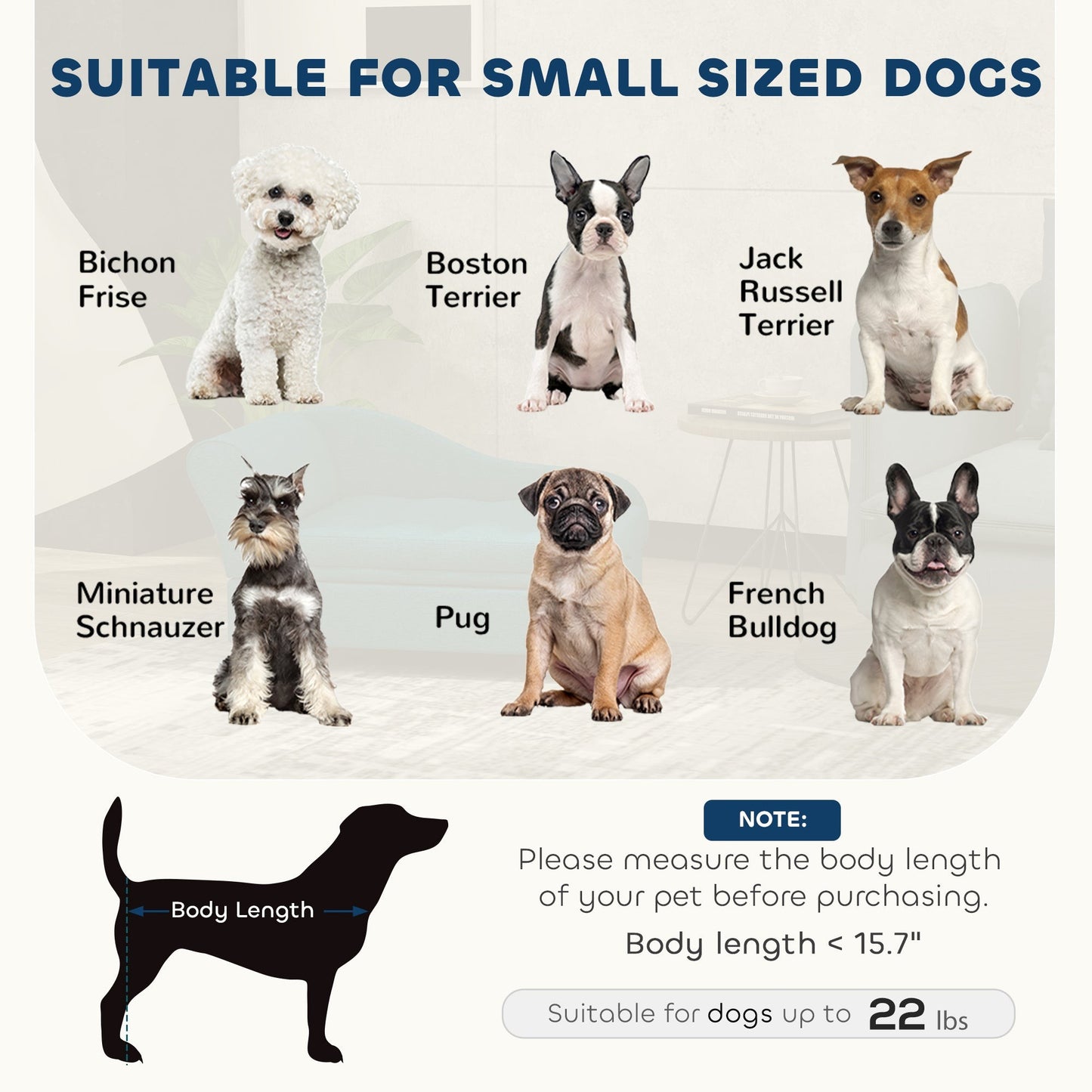 Dark Gray Sofa Dog Bed with Storage 750x490x165 mm