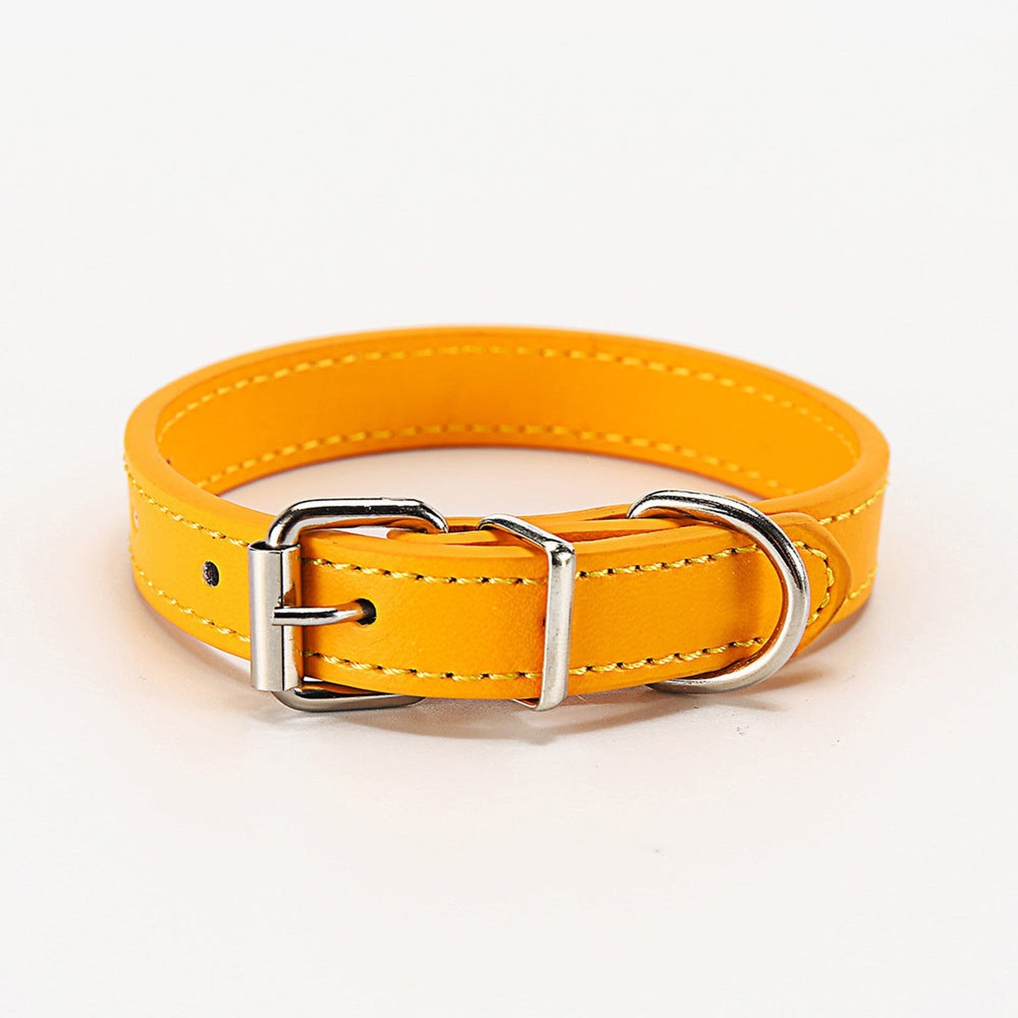 Durable Polypropylene Standard Dog Collar in Multiple Colors
