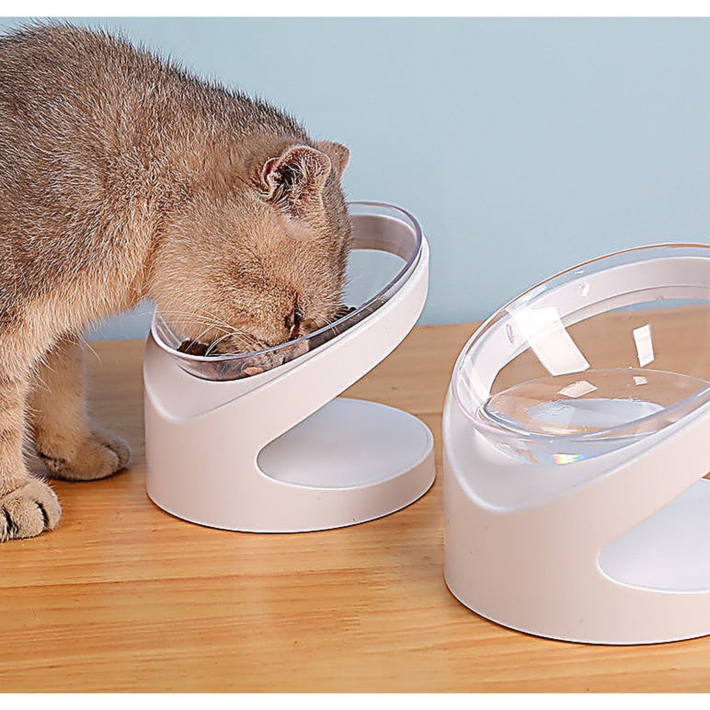 Cat Bowl with Diagonal Mouth for Cervical Vertebra Protection - White Plastic