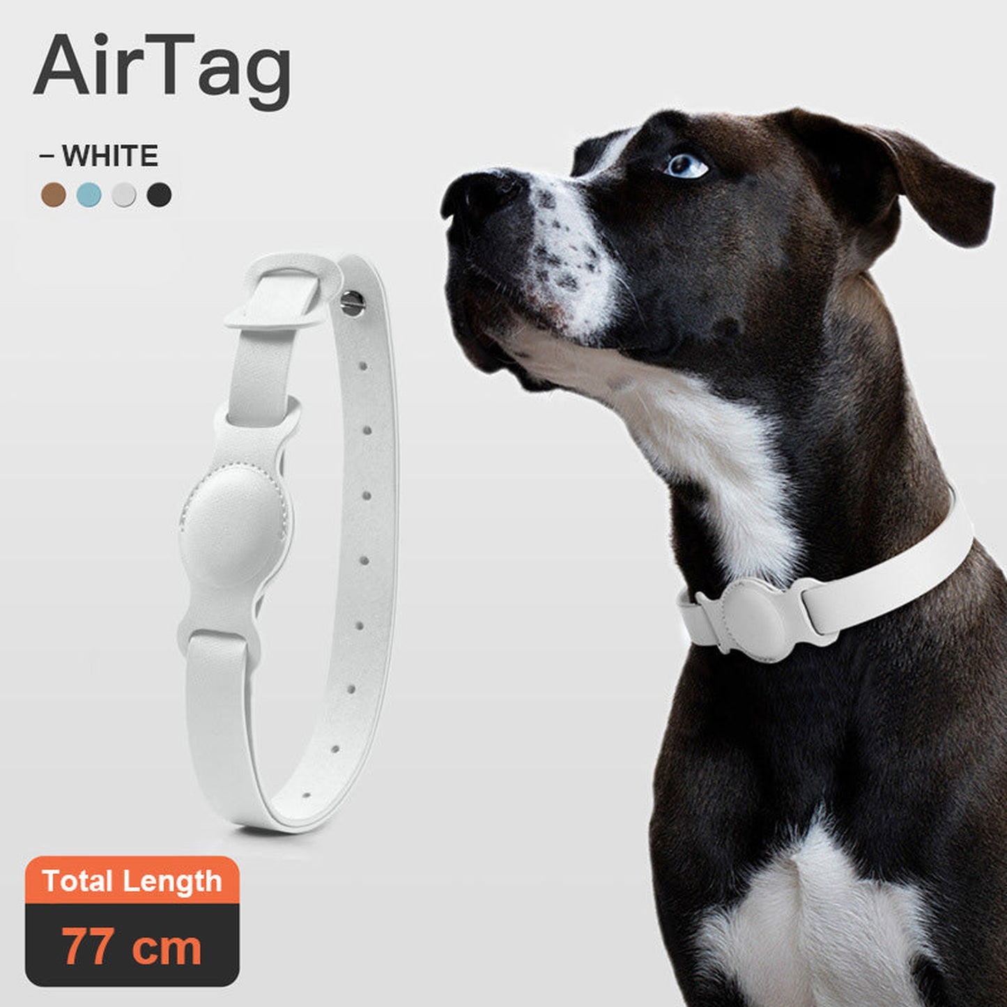 Anti-Lost Leather Dog Collar with Chain Case