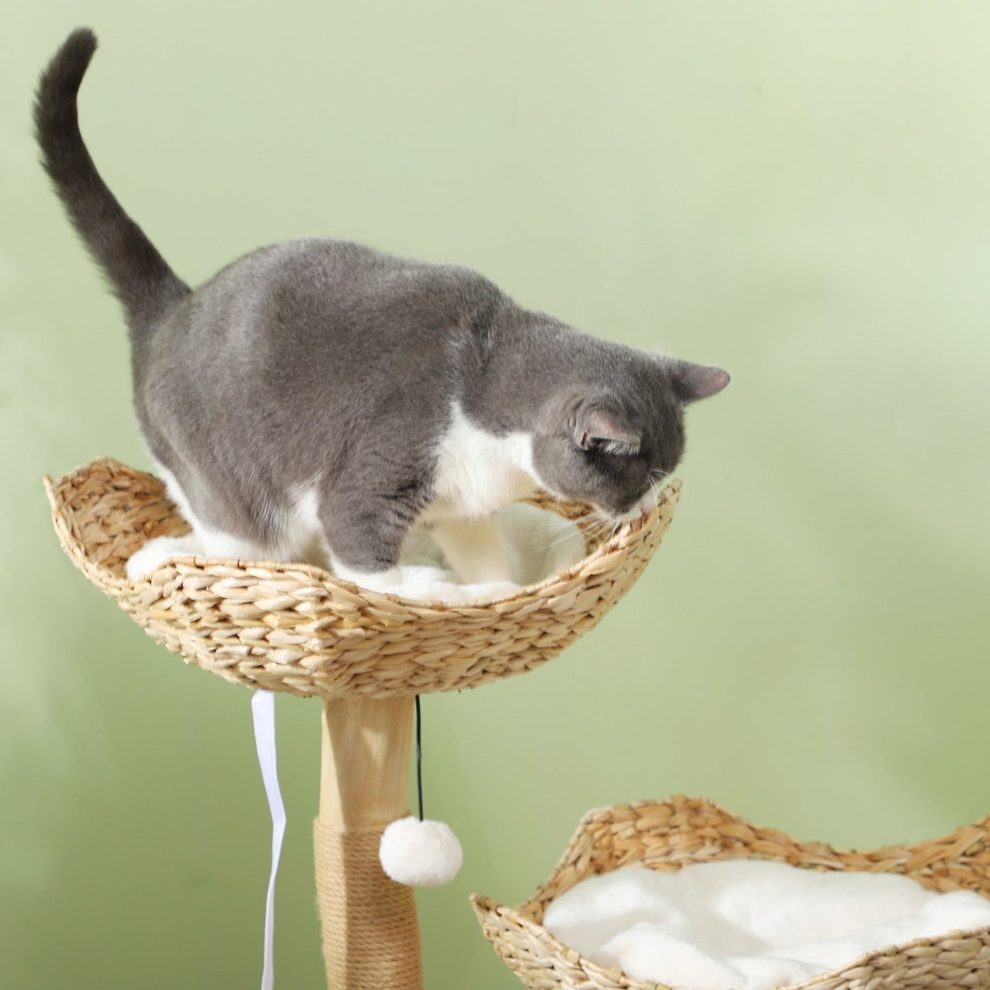 37 Inch Cream White Cat Tree with Wooden Scratching Posts & Condo Beds