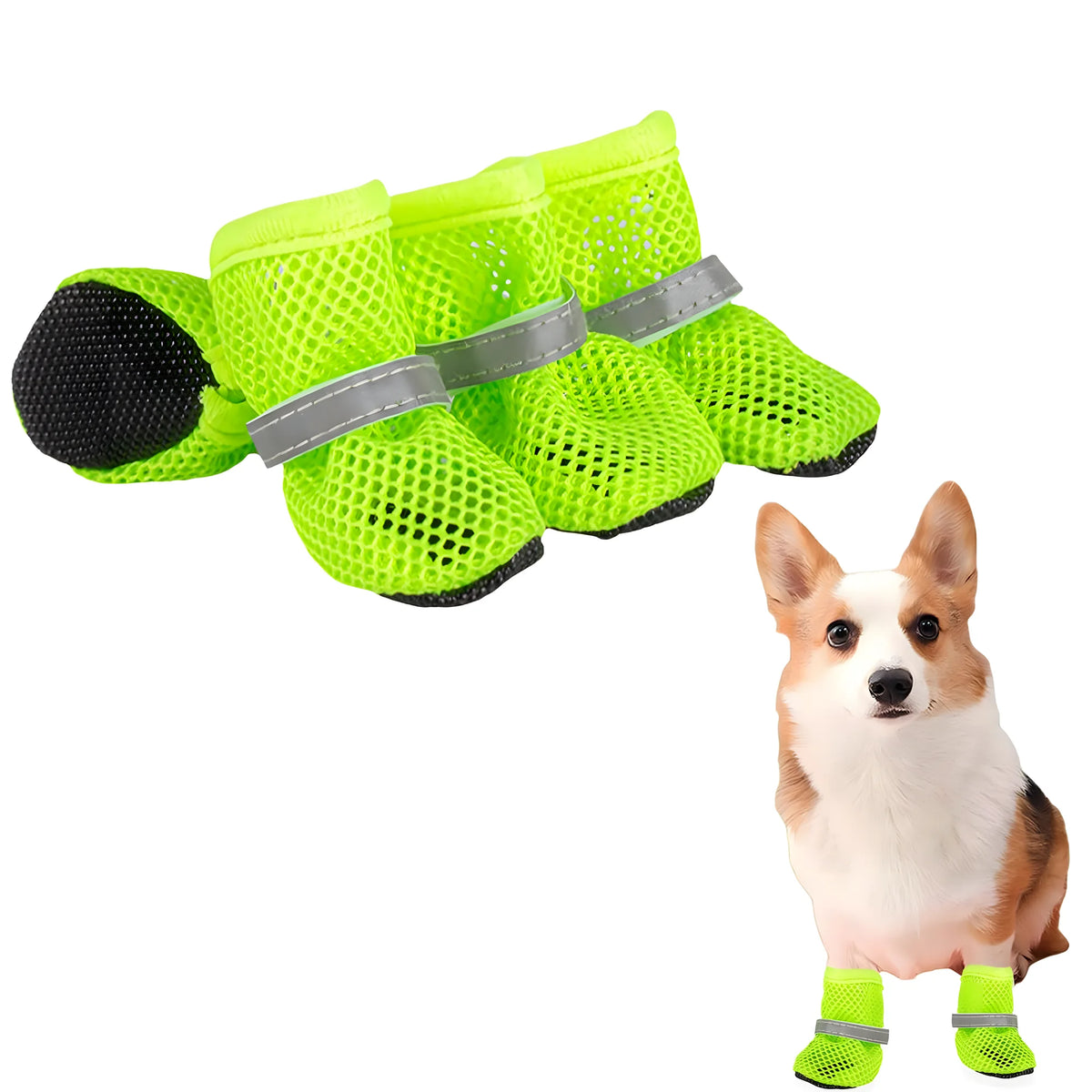 fa8f064fe6e0ade7b121f66f05a206e8
