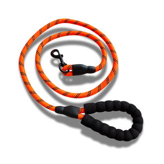 Leashes