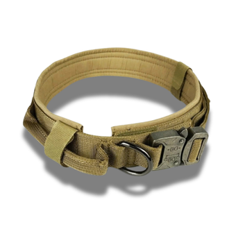 Collars