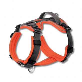 Harnesses