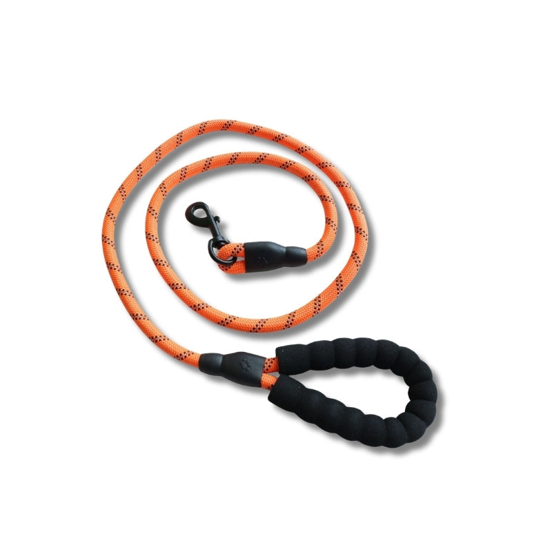 Leashes