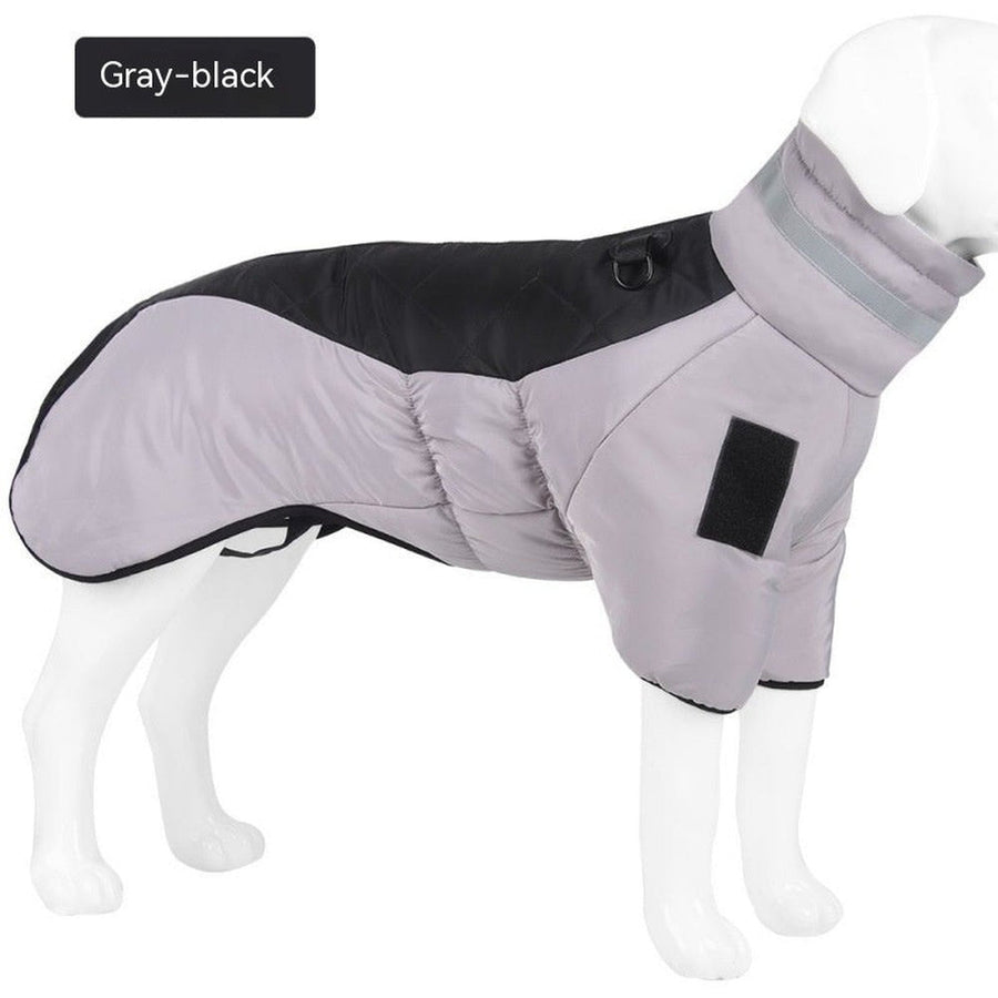 Safety Essentials