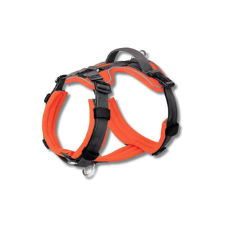 Harness