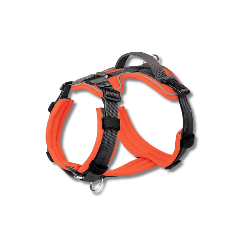 Harnesses