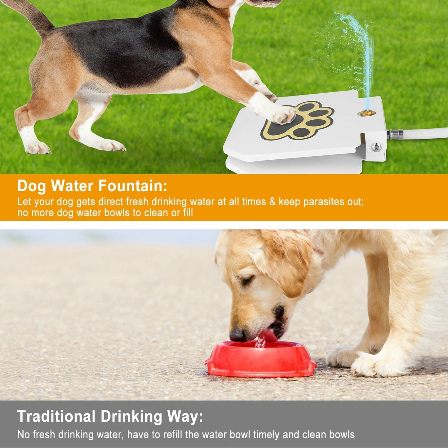 Step-On Activated Dog Water Fountain with Paw Pedal Valve White