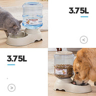 Durable PP Dog Water Fountain in Grey, Grey 2, or Pink