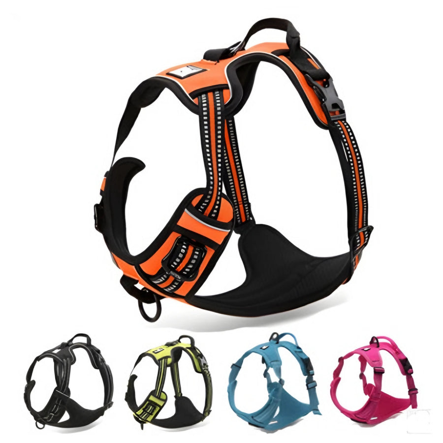 Walk Gear