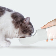Traveling Transparent Plastic Dog Water Dispenser Fountain