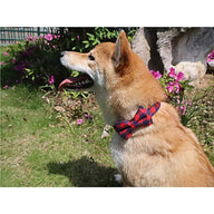 British Plaid Fabric Dog Standard Collar in Multiple Colors
