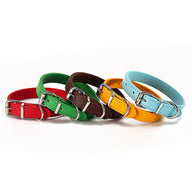 Durable Polypropylene Standard Dog Collar in Multiple Colors
