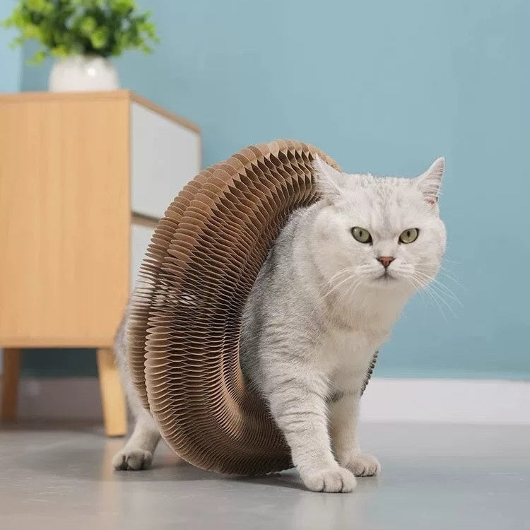 Folding Cat Scratcher, A Magical Foldable Toy