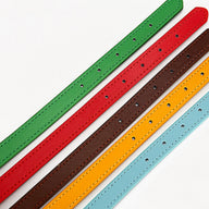 Durable Polypropylene Standard Dog Collar in Multiple Colors