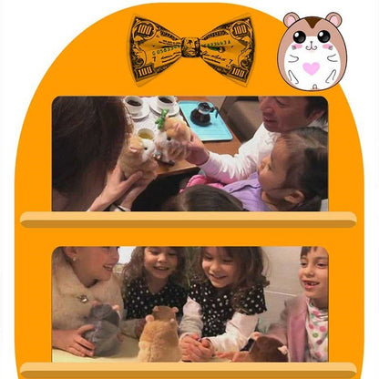 15CM Little Talking Hamster Toy - Asmota
