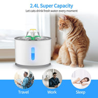 Stainless Steel Dog Water Fountain with Multi-Power Options