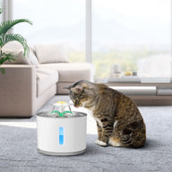 Stainless Steel Dog Water Fountain with Multi-Power Options