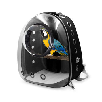 Starling Parrot Portable Transparent Dome Bird Carrier