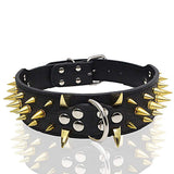 Explosion Proof Rivet Bite Resistant Large Dog Collar