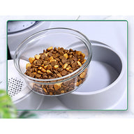 Unplugged Automatic Dog Dual Bowl Feeder with Transparent Plastic