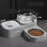Unplugged Automatic Dog Dual Bowl Feeder with Transparent Plastic