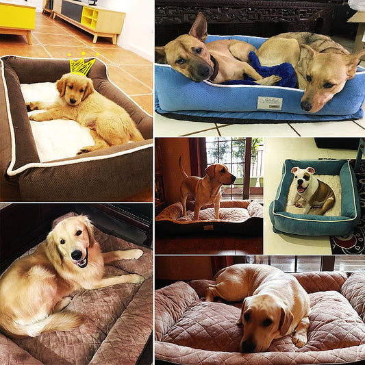 Removable Washable Fabric Dog Bed Mat for Golden Retriever Medium-Large