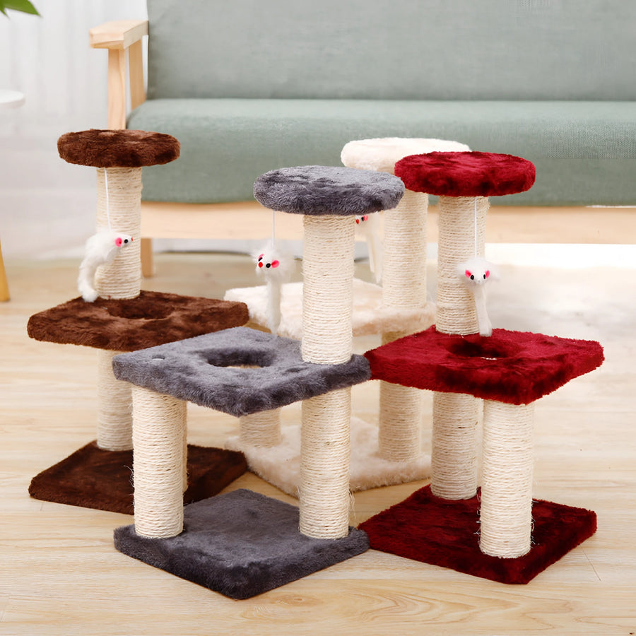 Cat Scratchers & Trees