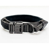 Nylon Dog Collar with Neoprene Padding for Medium & Large Dogs