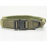 Nylon Dog Collar with Neoprene Padding for Medium & Large Dogs
