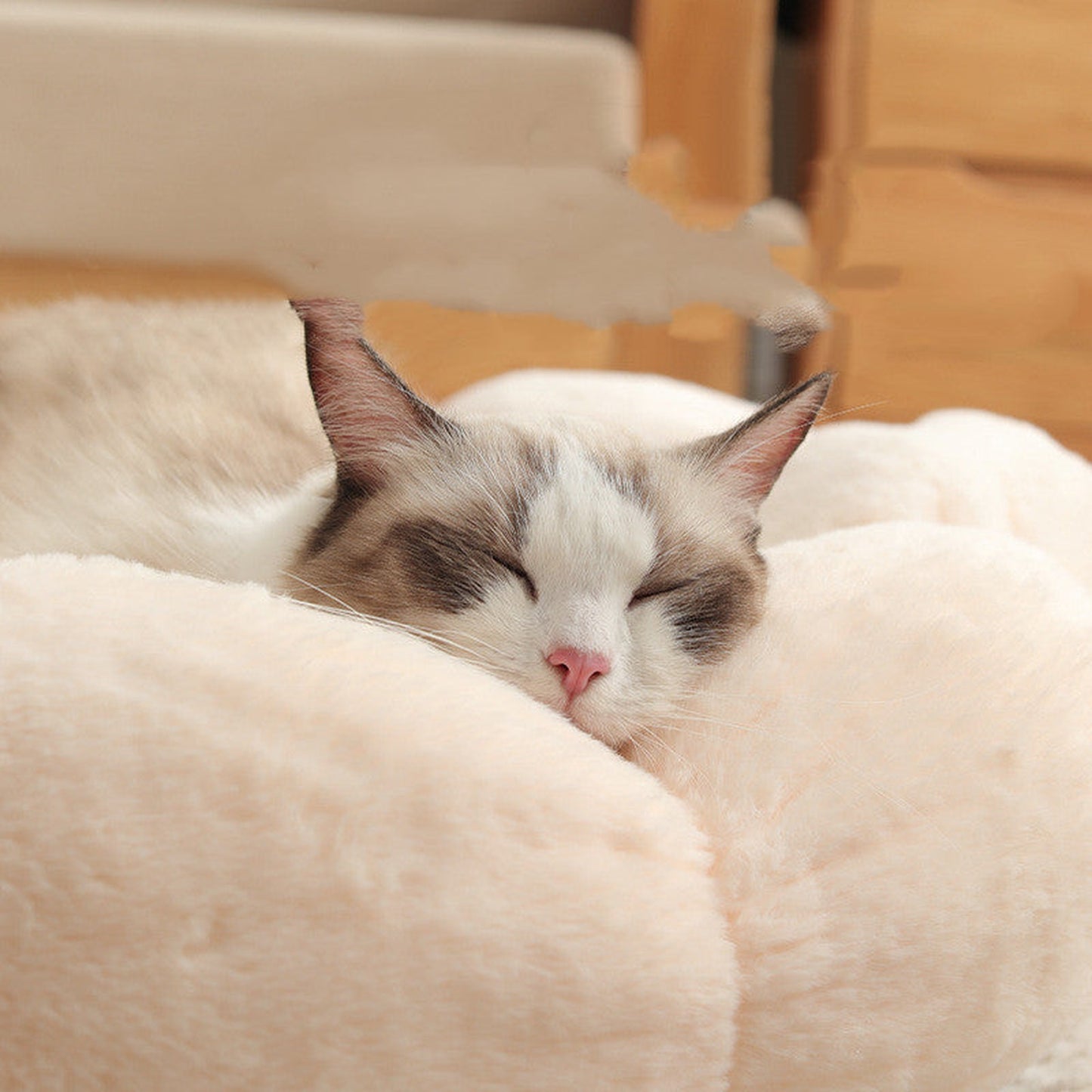 Flower Shaped Soft Cloth Dog Bed Mat with Blanket
