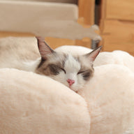Flower Shaped Soft Cloth Dog Bed Mat with Blanket