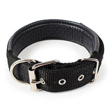 Soft Leather Lined Polypropylene Foam Dog Collar
