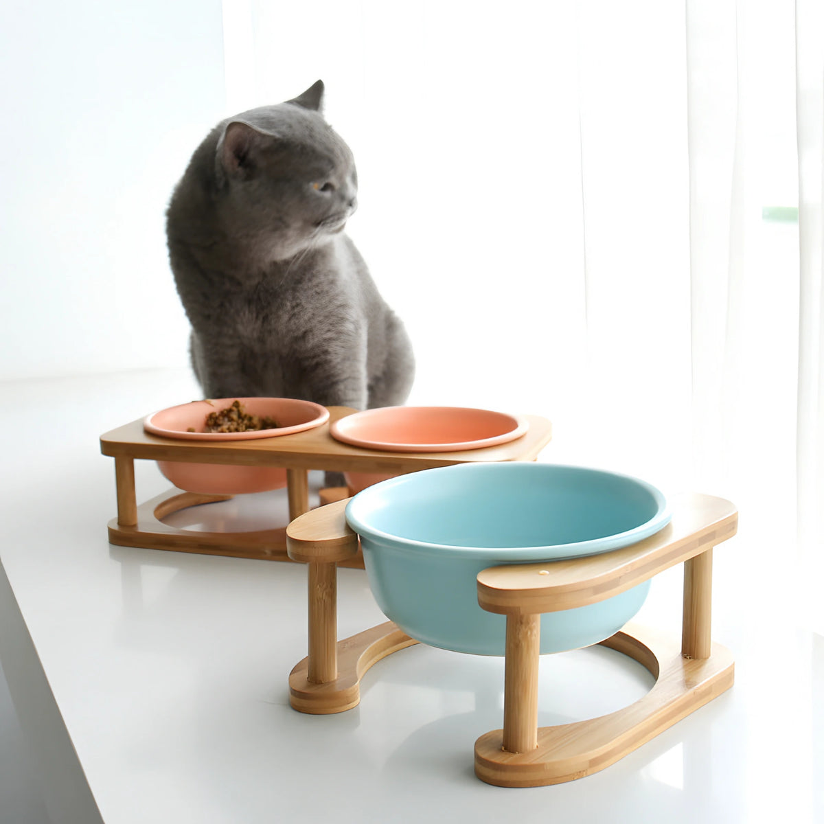 366c5a14e9d18808e90c7955fcfe2e72
