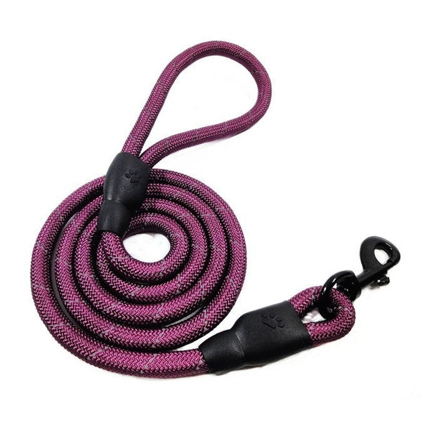 Training-Rope-Belt Leashes