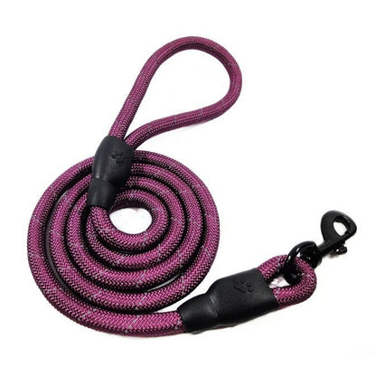 Training-Rope-Belt Leashes