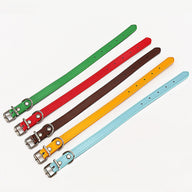Durable Polypropylene Standard Dog Collar in Multiple Colors