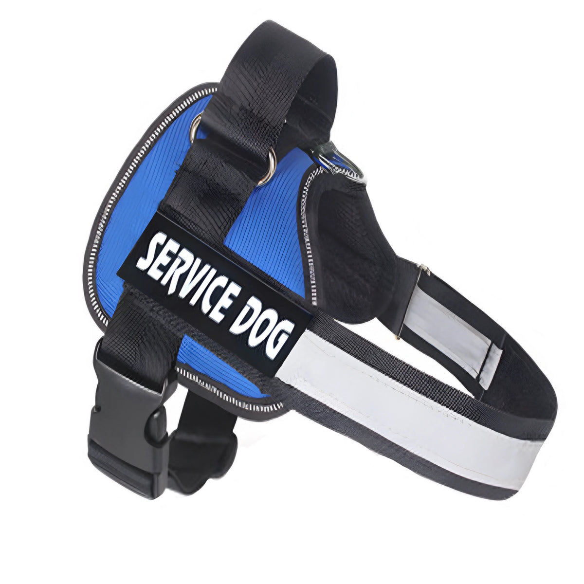 e424873479454cfe2232de2431190571