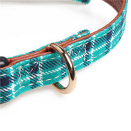 Bowknot Fabric Dog Traction Collar in Multiple Colors