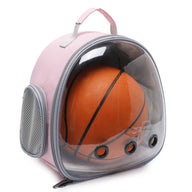 Transparent Plastic Dog Carrier Backpack for Small Breeds