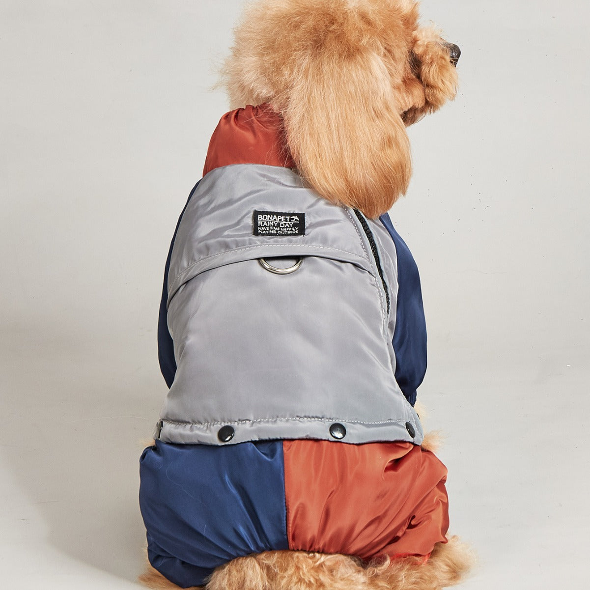 Pet Winter Color Matching Cotton-padded Clothes Dog Medium Large Dog Warm And Comfortable