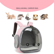 Transparent Plastic Dog Carrier Backpack for Small Breeds
