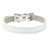PU Leather Dog Collar in Multiple Colors
