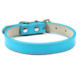 PU Leather Dog Collar in Multiple Colors