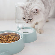 Colorful Lightweight Dog Feeding Bowl with Stainless Steel Insert
