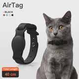 Anti-Lost Leather Dog Collar with Chain Case
