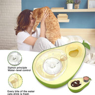 Automatic Avocado Wooden Slow Feed Cat Bowl with Water Feeder