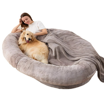 Large Memory Foam Plush Dog Bed with Durable Stitching